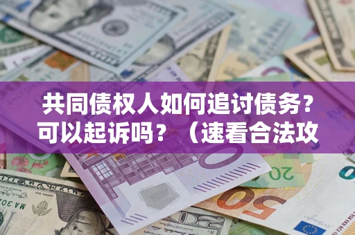 北京共同债权人如何追讨债务？可以起诉吗？（速看合法攻略）