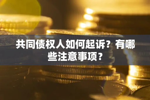 北京共同债权人如何起诉？有哪些注意事项？