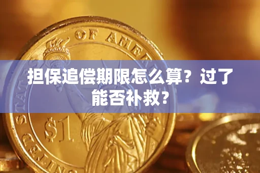 北京担保追偿期限怎么算？过了能否补救？